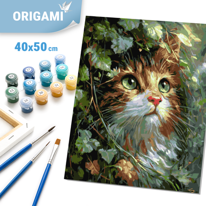 Malen nach Zahlen auf Keilrahmen 40×50 cm – Tiere. Kätzchen mit smaragdgrünen Augen LW 2002-01