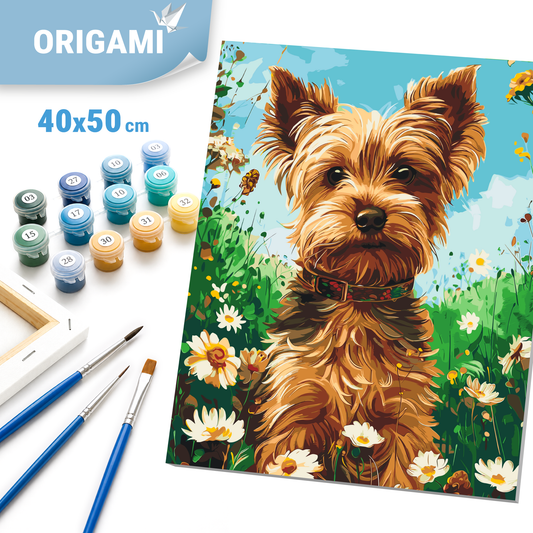 Paint by Numbers on a 40x50 cm frame - Yorkshire Terrier - Animals - LW 30470