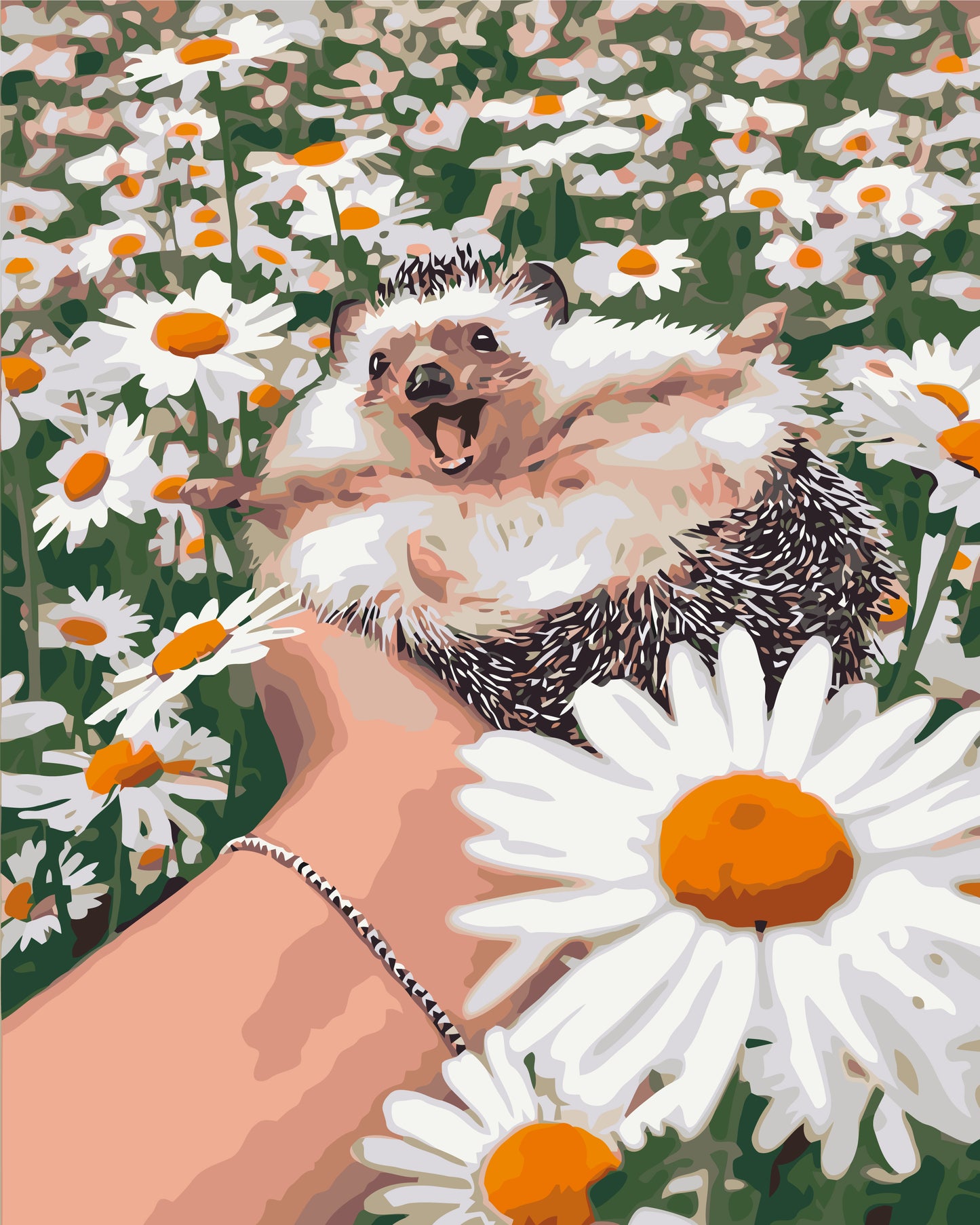 Malen nach Zahlen auf Keilrahmen 40×50 cm – Igel in Gänseblümchen LW 3086