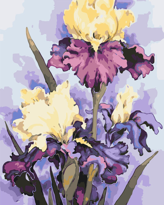 Malen nach Zahlen auf Keilrahmen 40×50 cm – Blumen. Luxuriöse Schwertlilien LW 32040