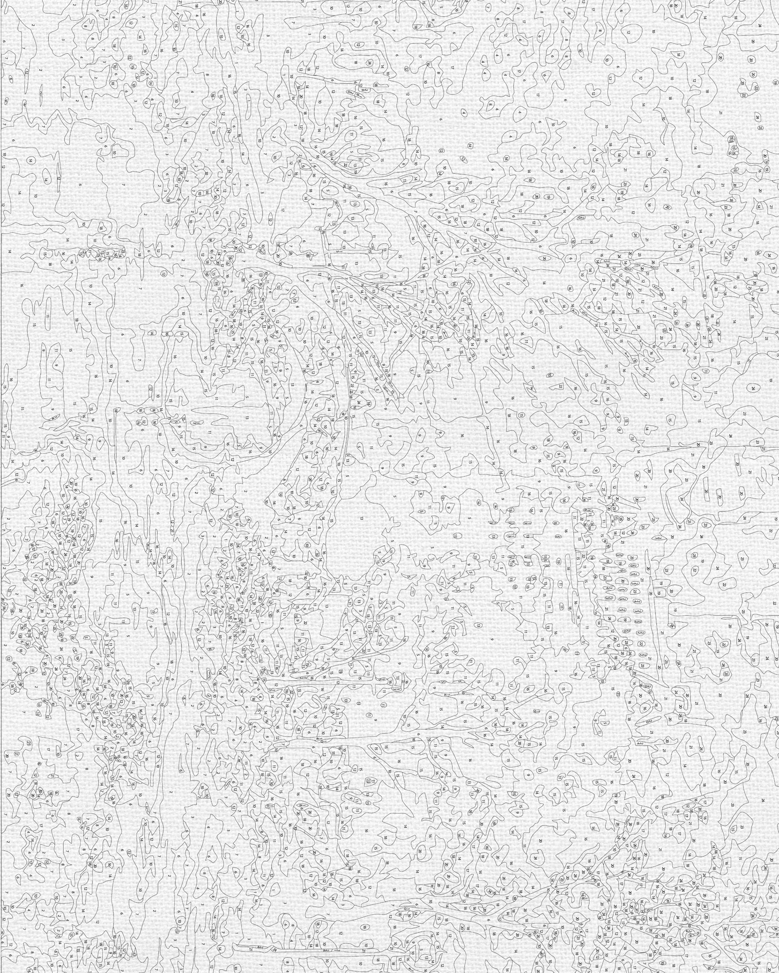 Malen nach Zahlen auf Keilrahmen 40×50 cm – Landschaft. Central Park in New York LW 3256
