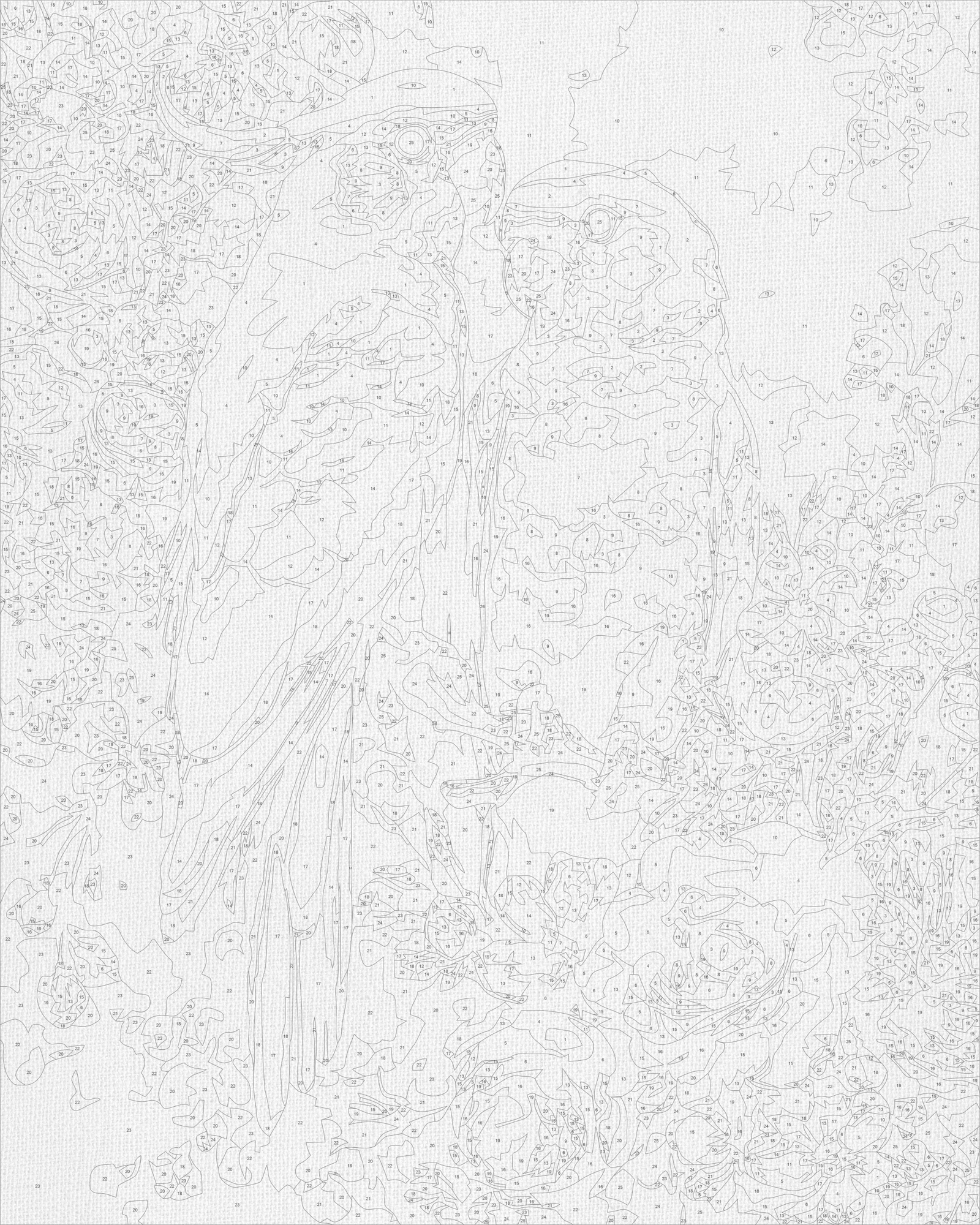 Malen nach Zahlen auf Keilrahmen 40×50 cm – Tiere. Papageienpaar LW 3271-01
