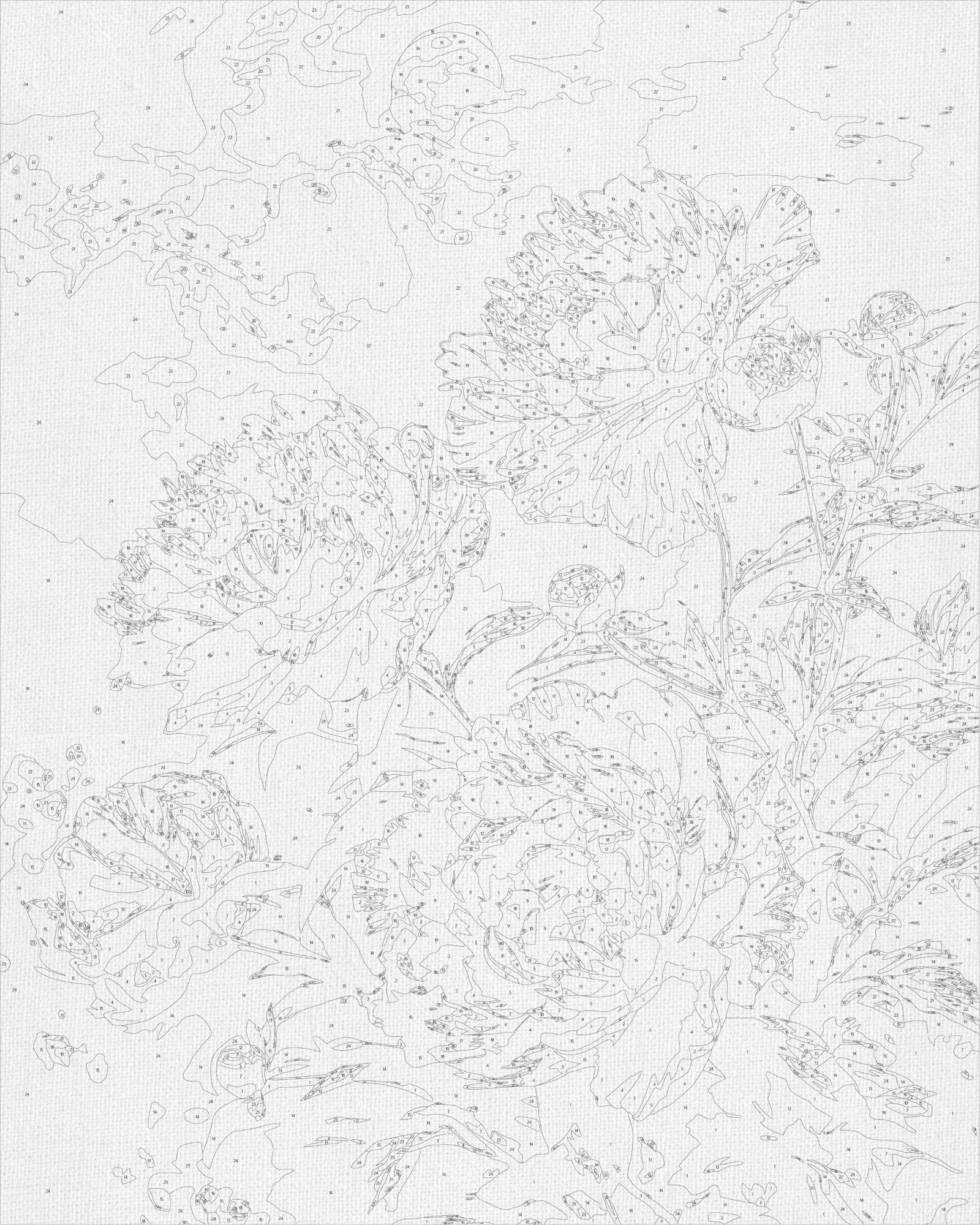 Paint by Numbers on a 40*50 cm frame - Peonies under the Moon LW 3297