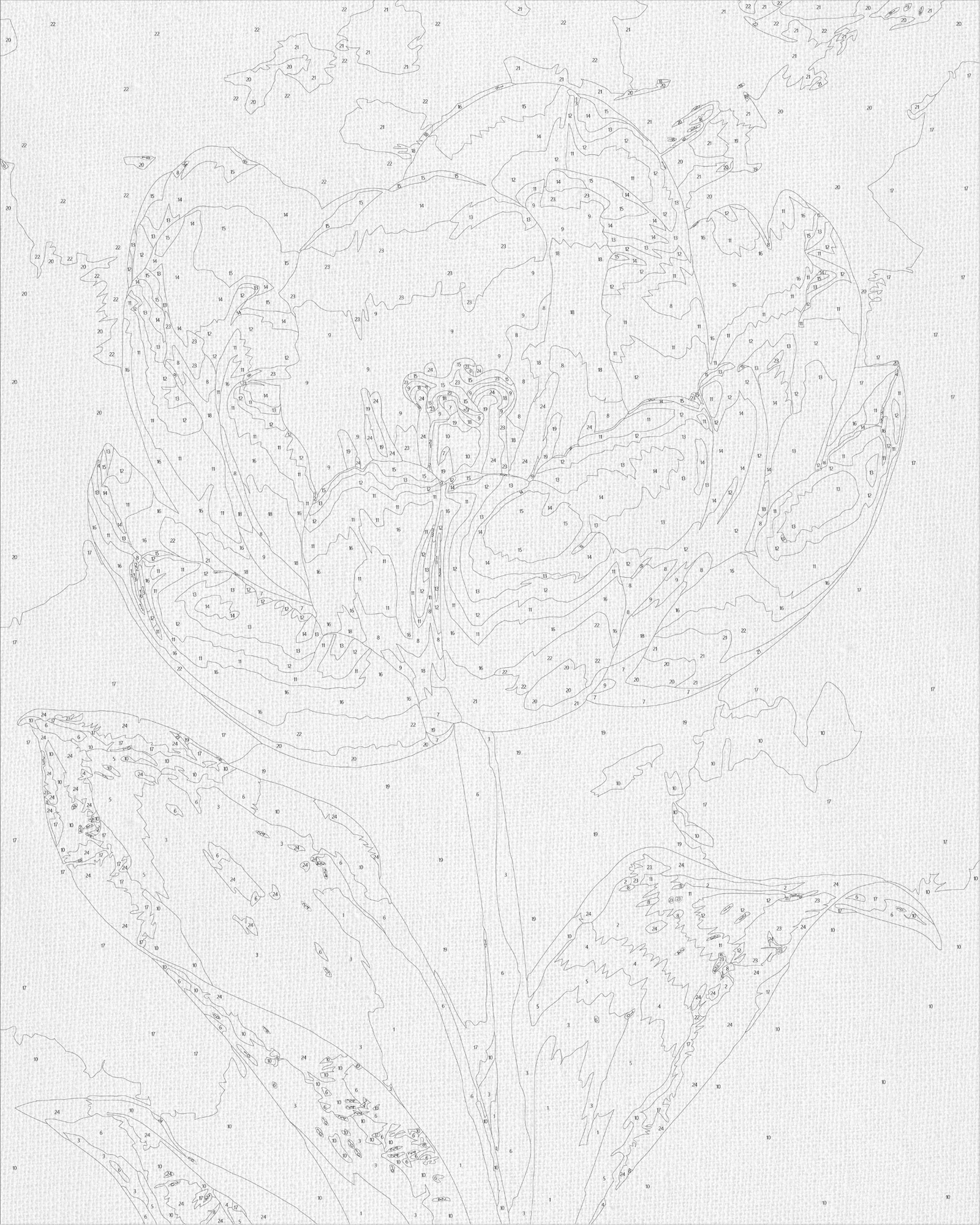 Malen nach Zahlen auf Keilrahmen 40×50 cm – Blumen. Weiße Pfingstrose mit Metallicfarben LW 3305
