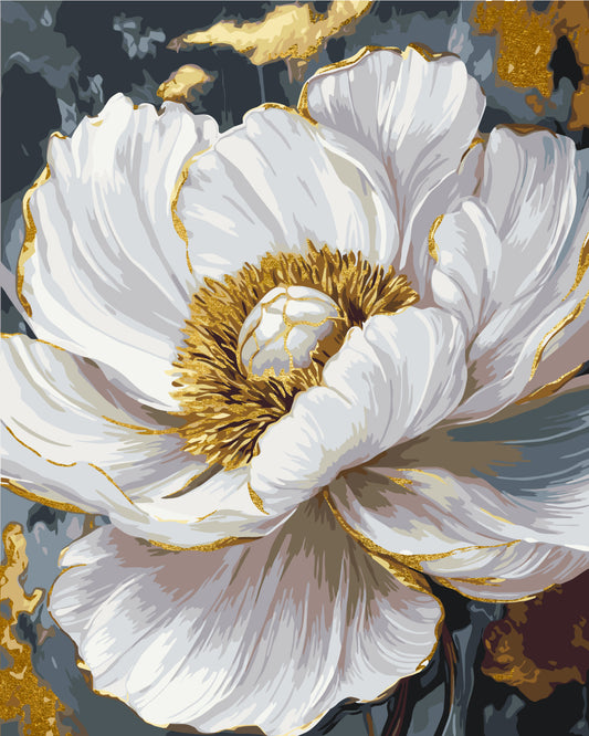 Malen nach Zahlen auf Keilrahmen 40×50 cm – Blumen. Weiße Pfingstrose mit Metallicfarben LW 3429