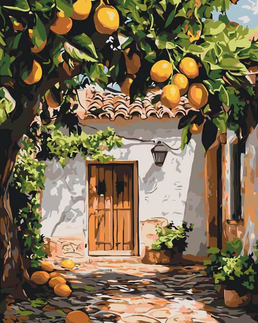 Paint by Numbers on a 40*50 cm frame – . Lemon Yard LW 3487