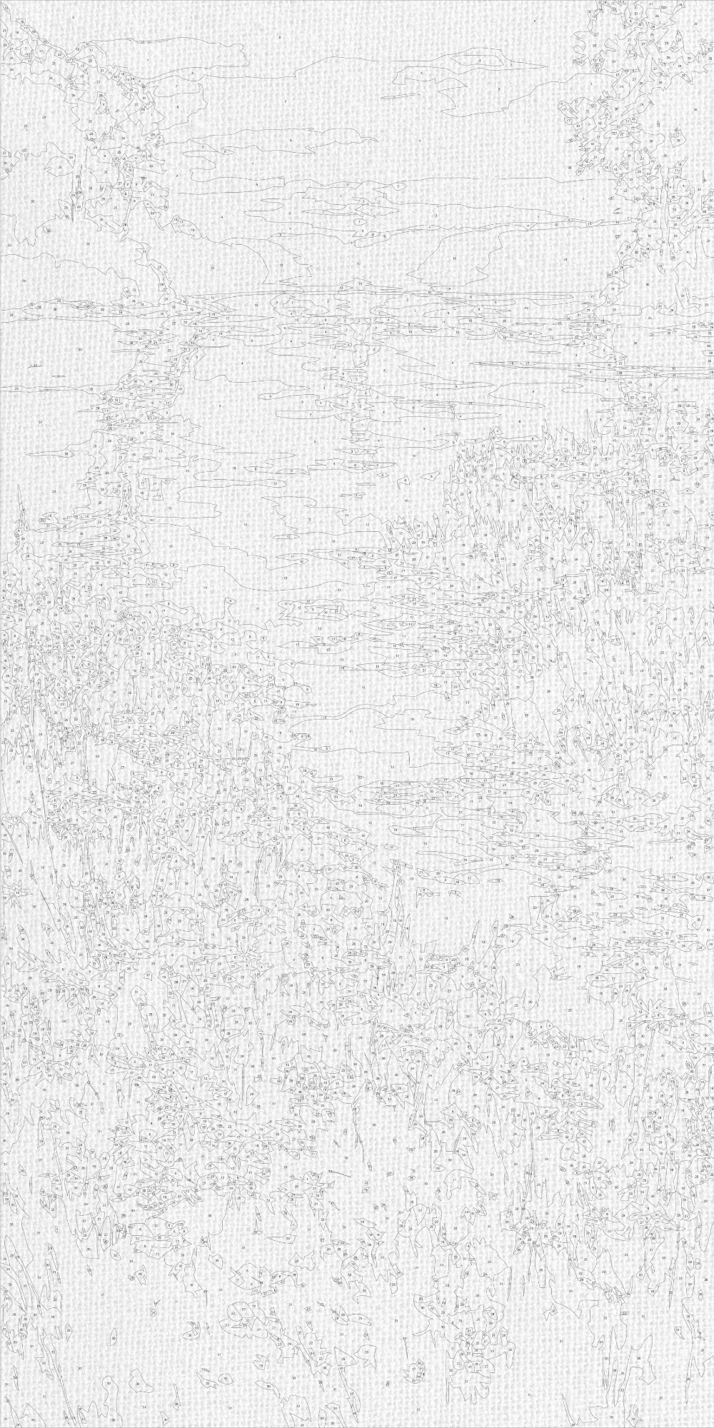Malen nach Zahlen auf Keilrahmen 40×80 cm – Sommerfarben der Natur – Landschaft/Blumen – LW 5171