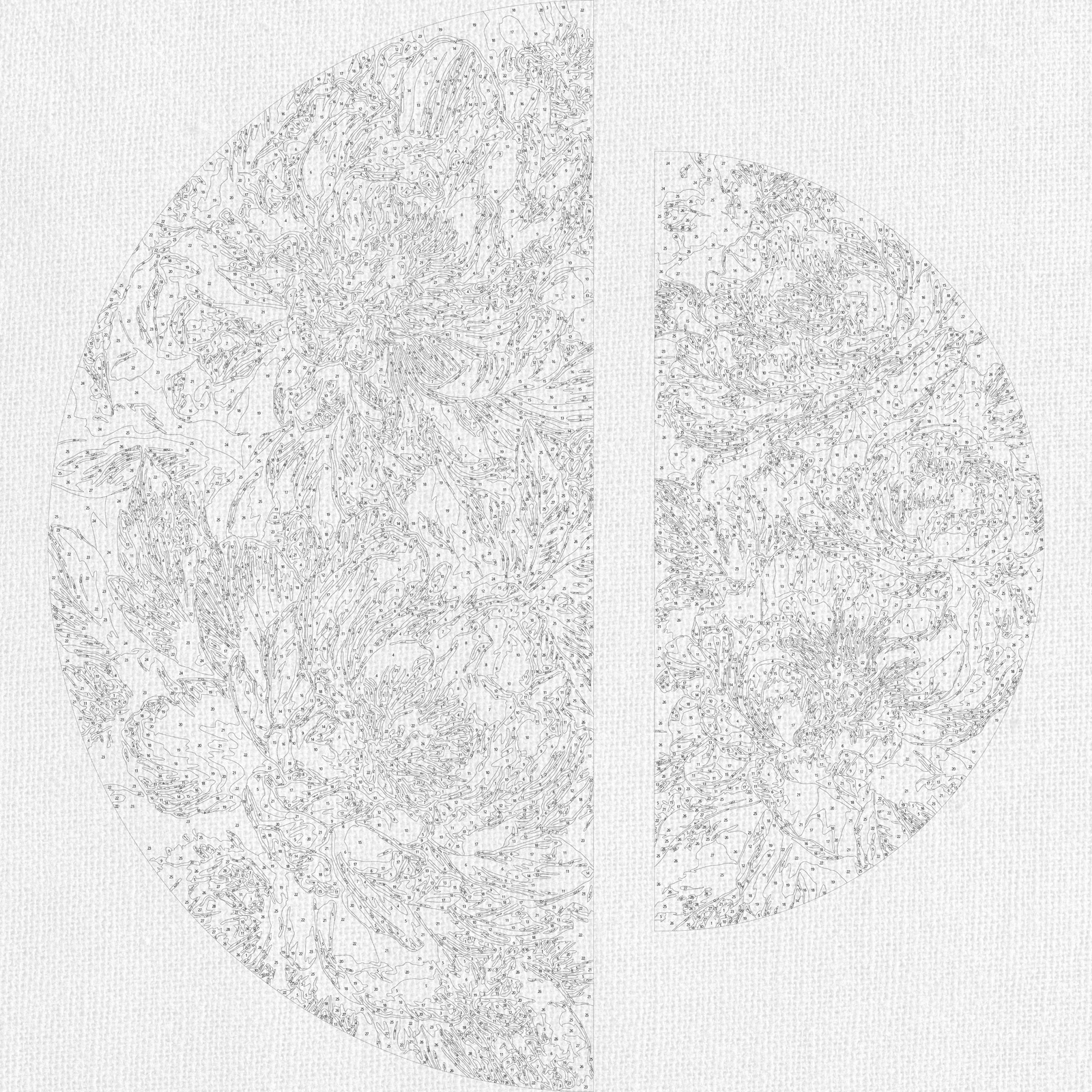 Malen nach Zahlen auf Keilrahmen ⌀50 cm + ⌀70 cm – Blumen mit Metallicfarben. Königliche Pfingstrosen OSR 1017