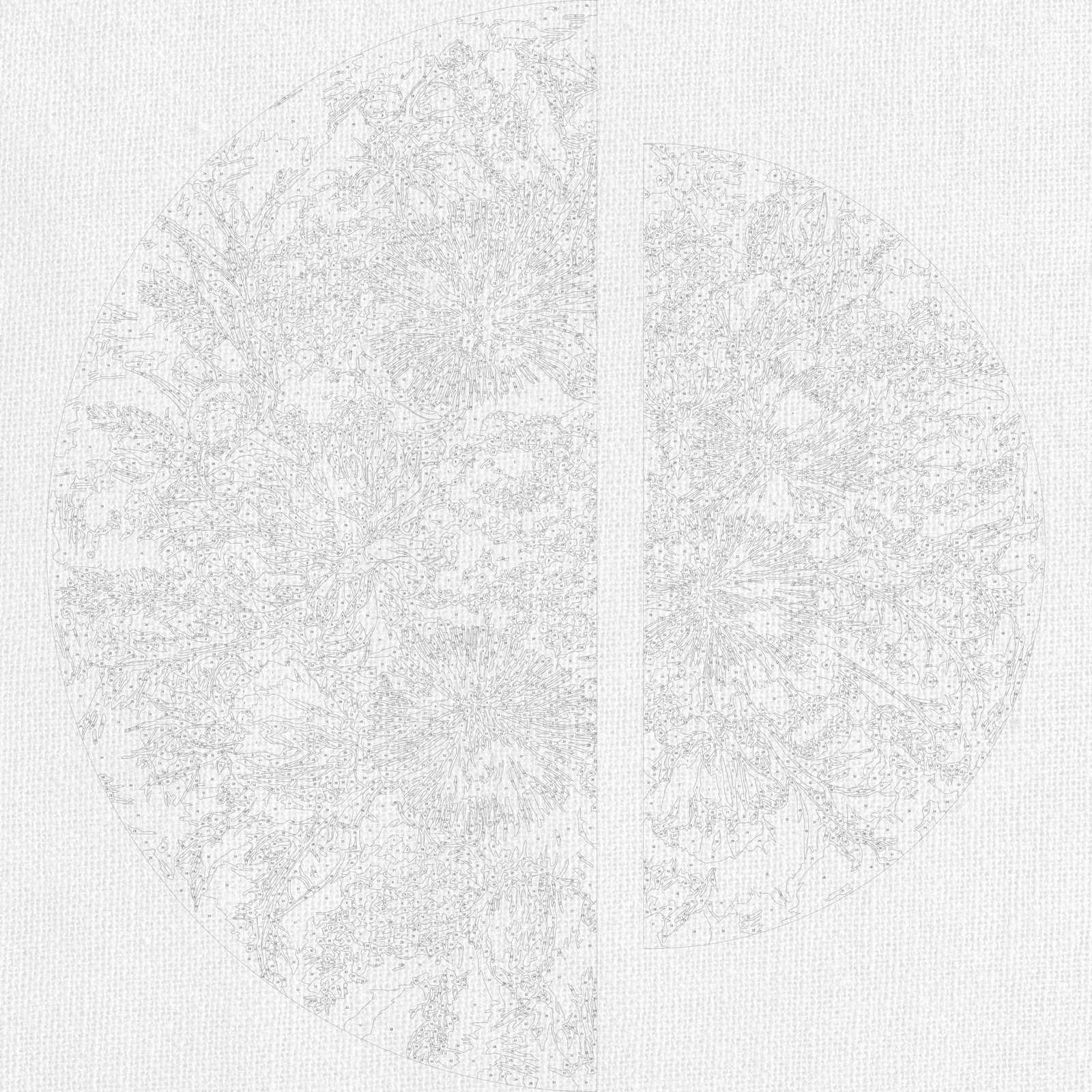 Malen nach Zahlen auf Keilrahmen ⌀50 cm + ⌀70 cm – Blumen. Violetter Sommer OSR 1019